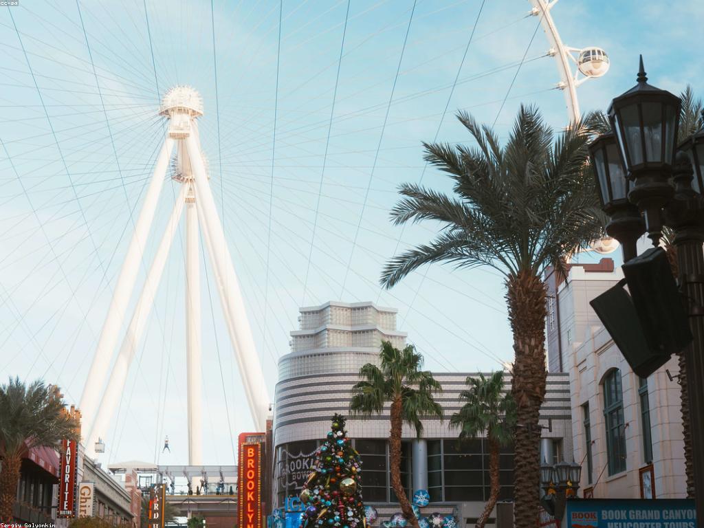 ព្រឹត្តិការណ៍ចូលឆ្នាំ: អ្វីដែលអ្នកត្រូវដឹង